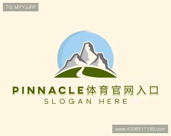 解读pinnacle体育官网入口